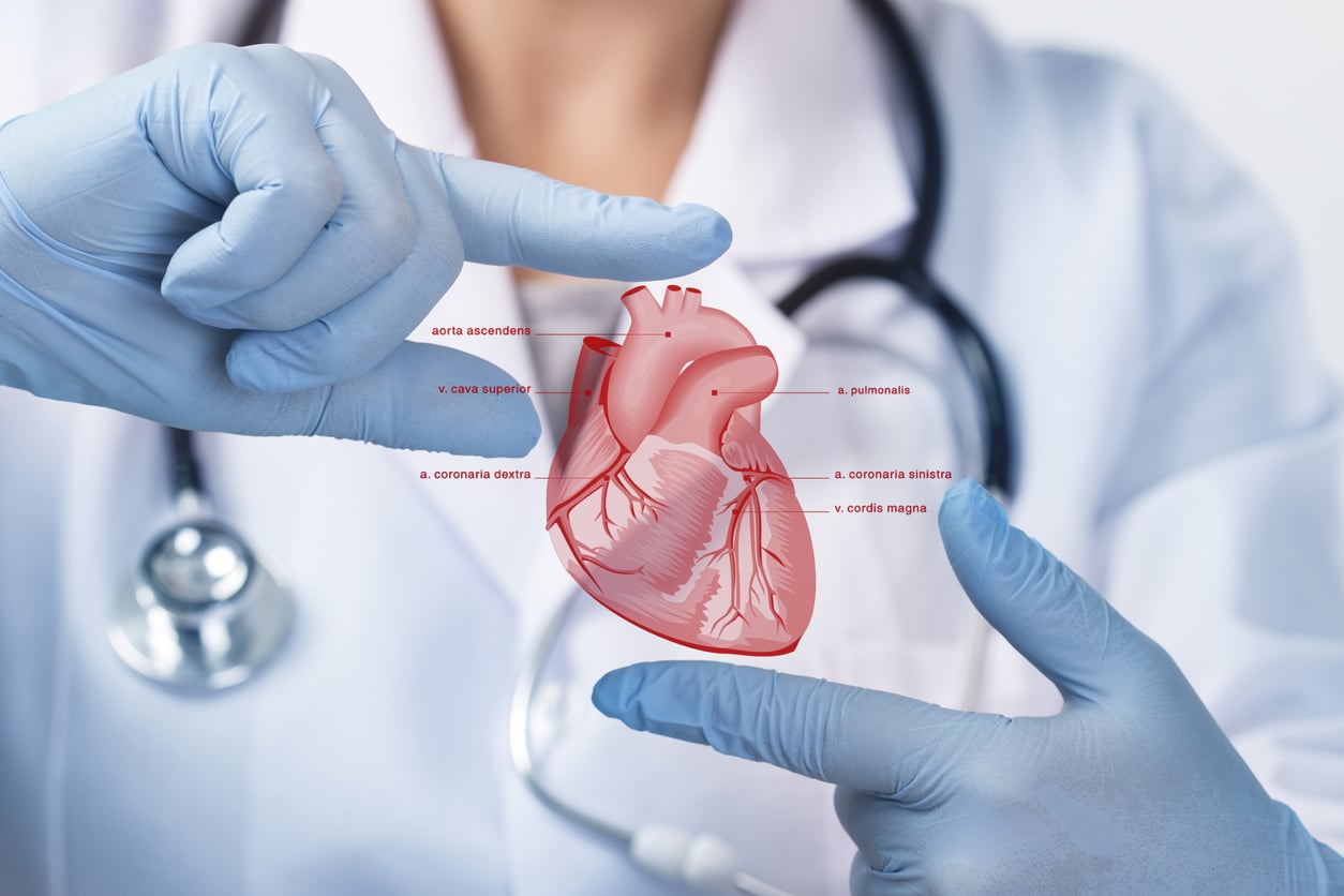 Cardiology Services